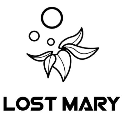 Lost Mary